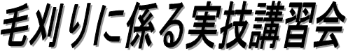 ъɌWZuK